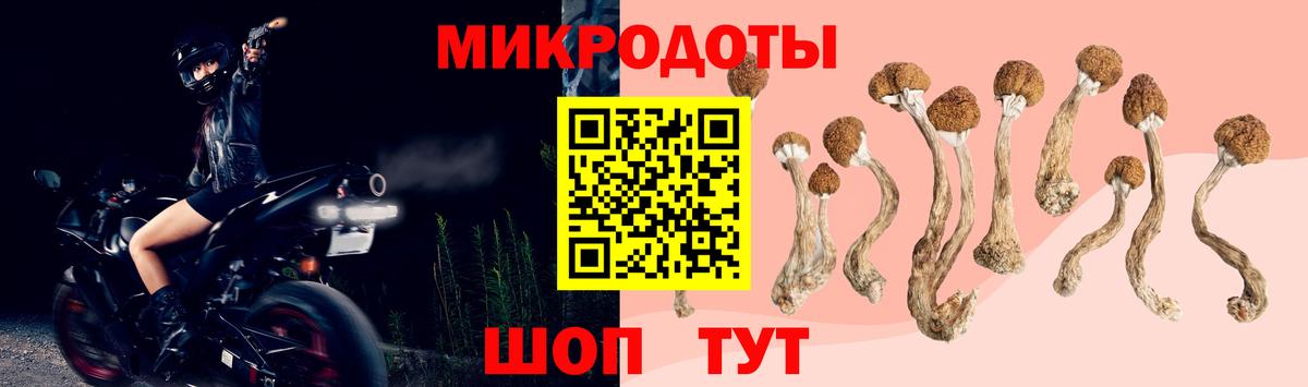 Галлюциногенные грибы Psilocybe  Псилоцибиновые грибы мухоморы  Белореченск  Вход с VPN 